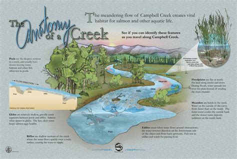 creek definition.